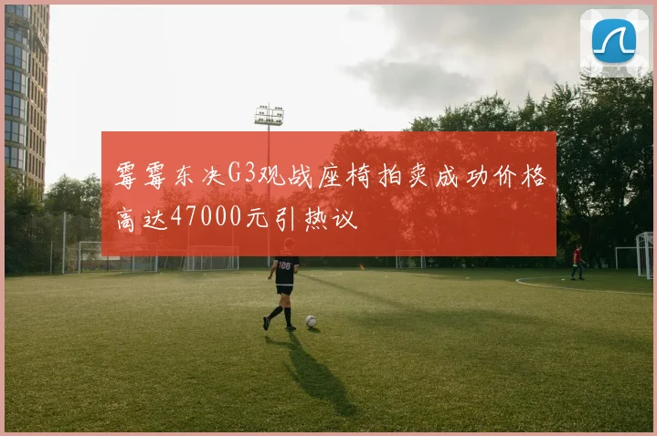 霉霉东决G3观战座椅拍卖成功价格高达47000元引热议
