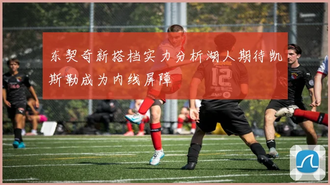 东契奇新搭档实力分析湖人期待凯斯勒成为内线屏障